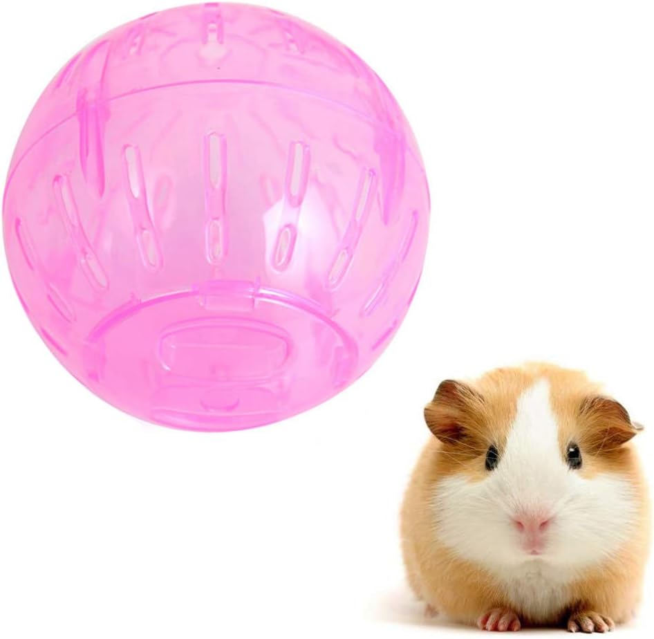 Pelota de Ejercicio Translúcida para Hámsteres y Pequeños Roedores